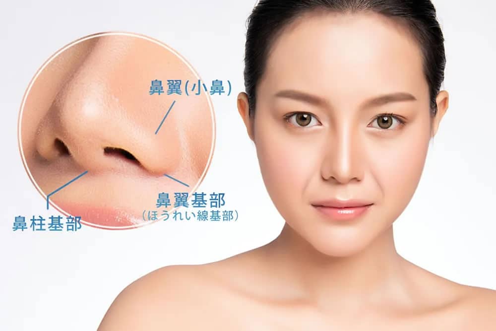 鼻翼基部と鼻柱基部の部位の位置の説明図