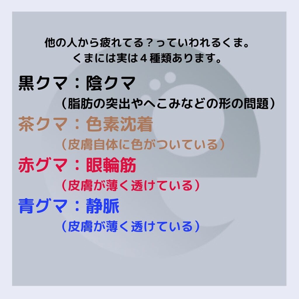 クマの種類の説明