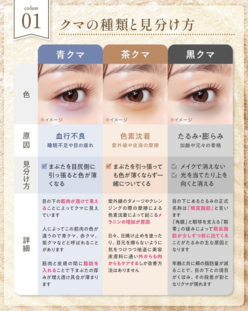 クマの種類の説明